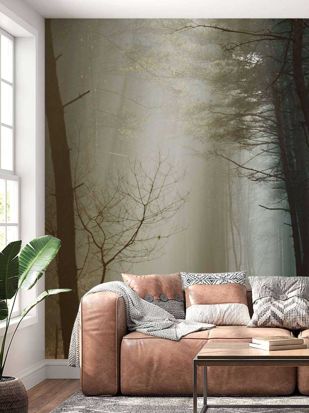 Rayons de lumière à travers la forêt