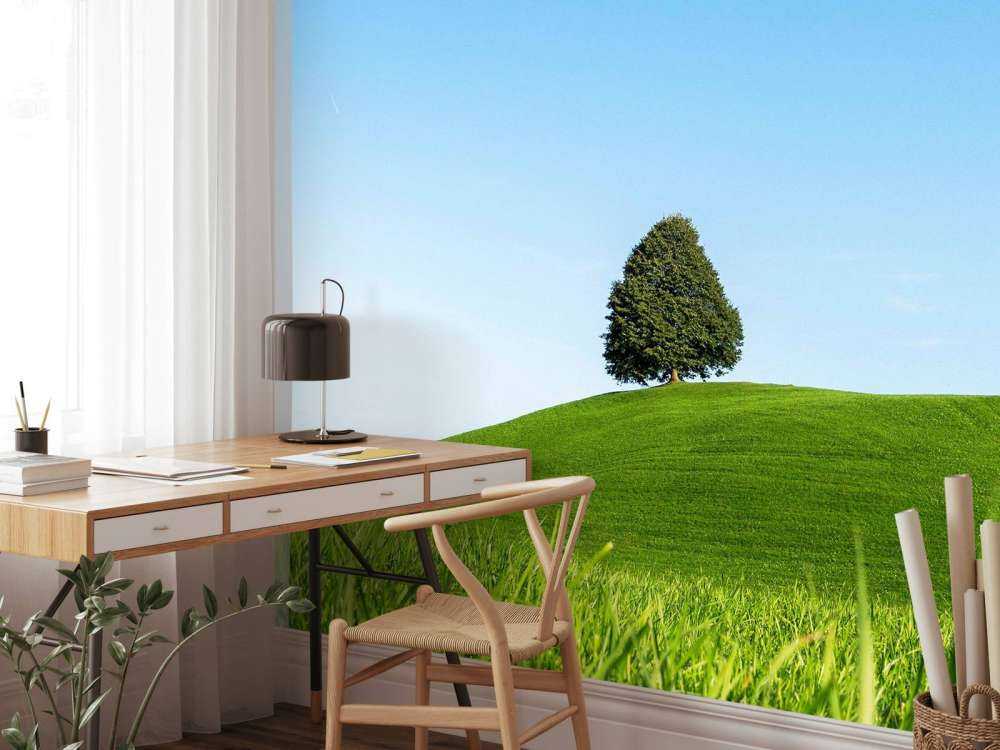 Arbre solitaire sur une colline verte