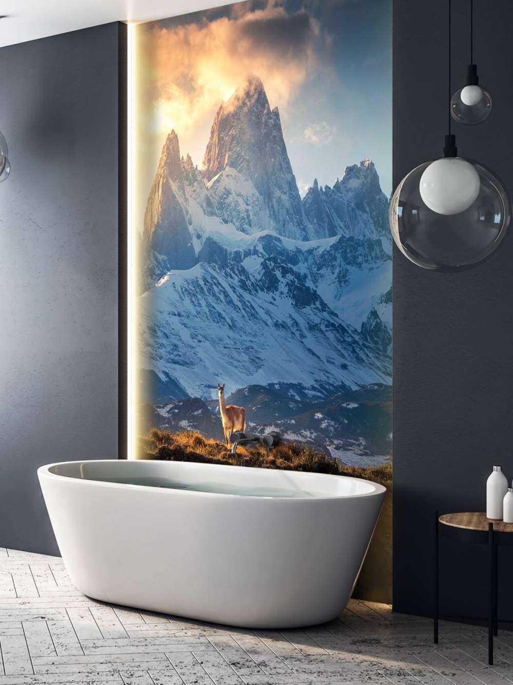 Guanaco devant les sommets enneigés de la Patagonie.