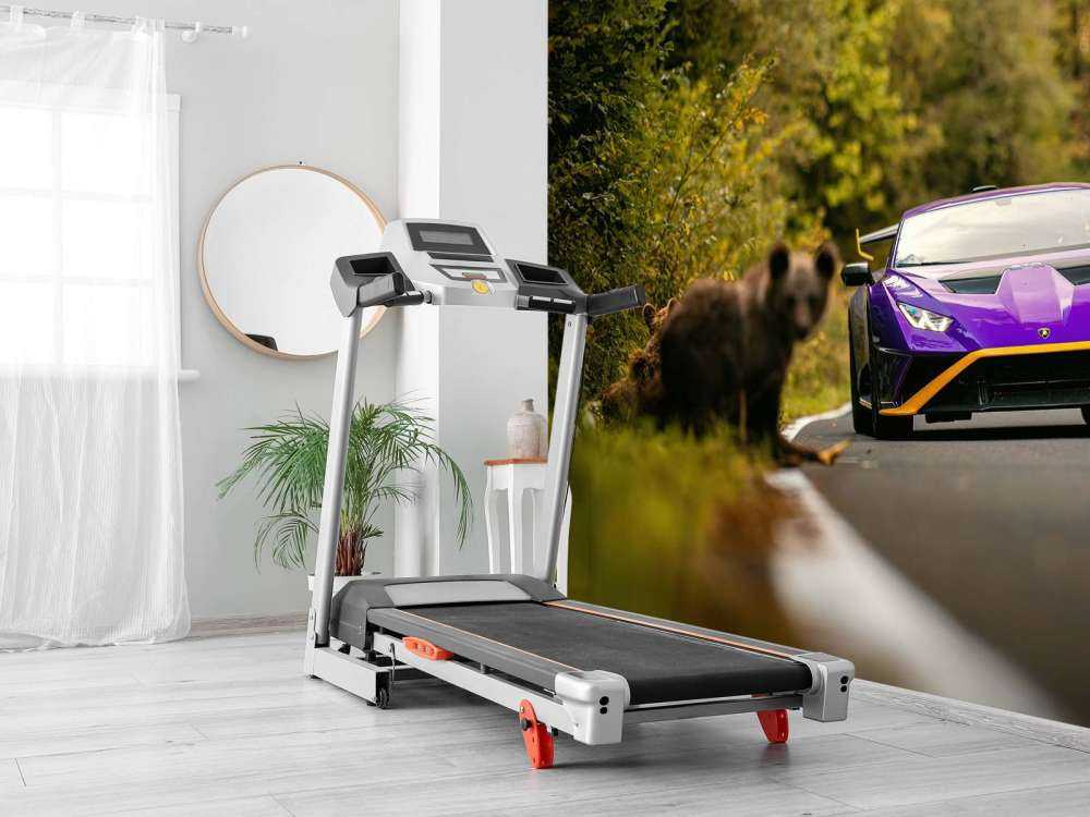 Lamborghini contre la nature