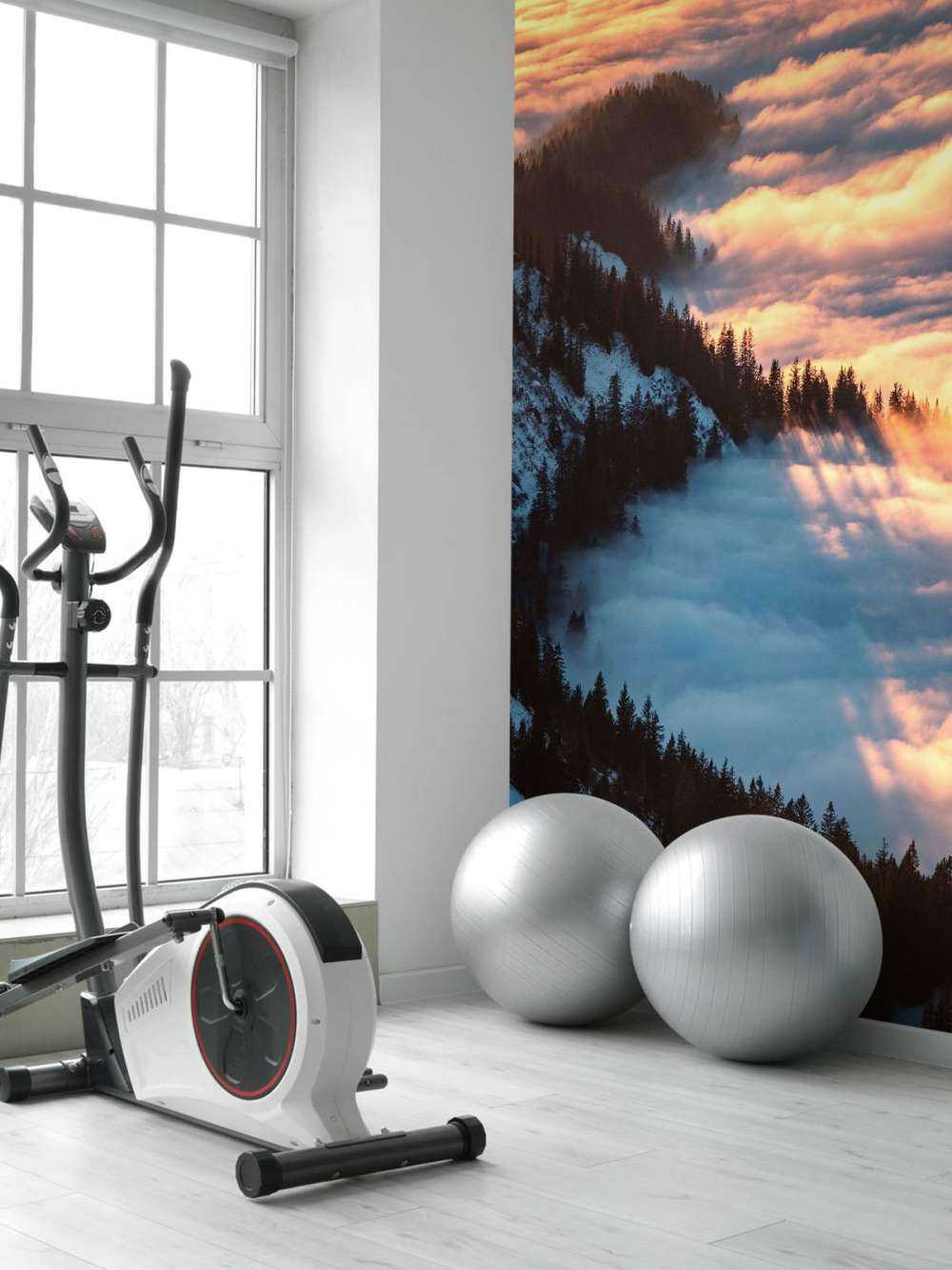 Lueur du matin sur une forêt de montagne brumeuse