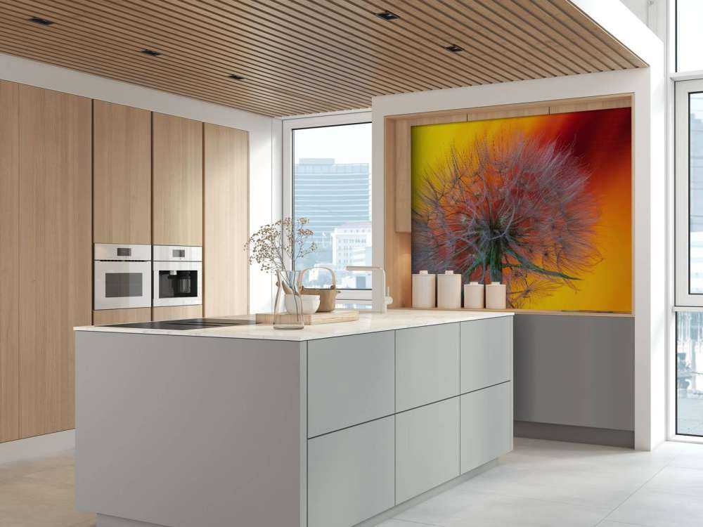 Gros plan sur un pissenlit