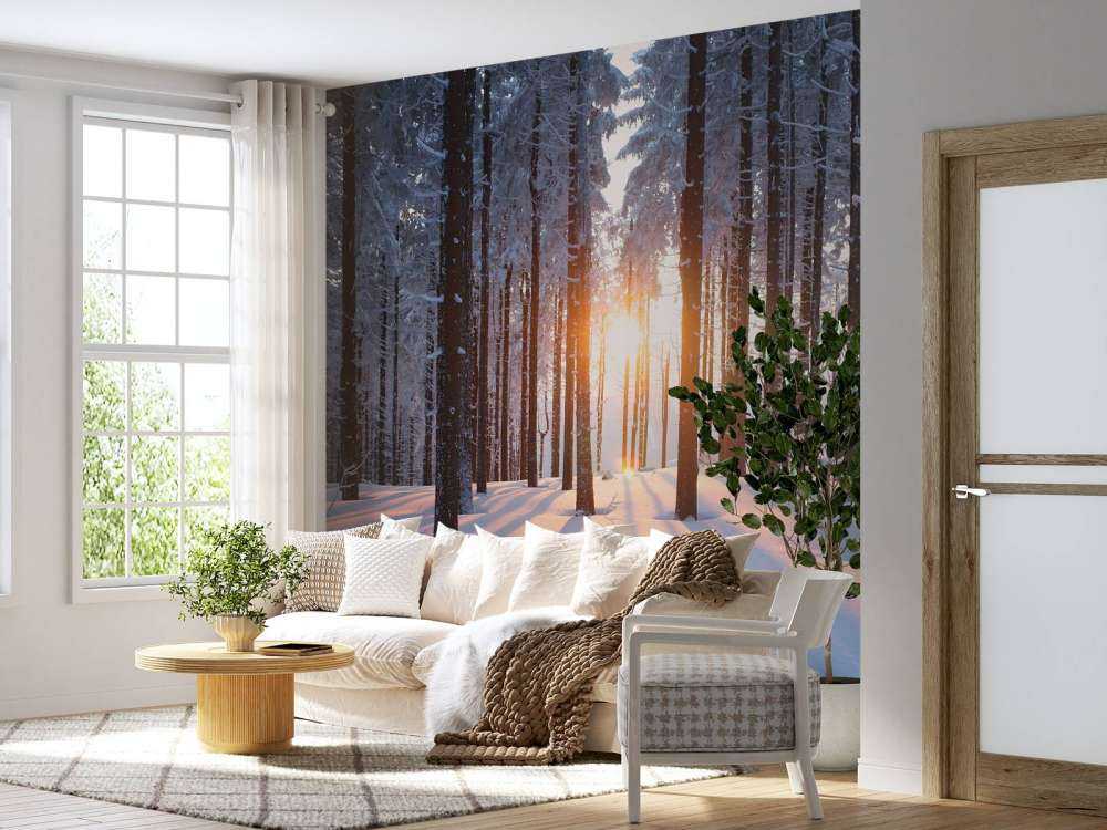 Coucher de soleil dans une forêt d'hiver