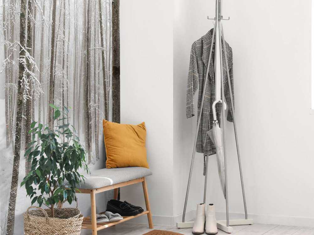 Forêt de hêtres avec de la neige