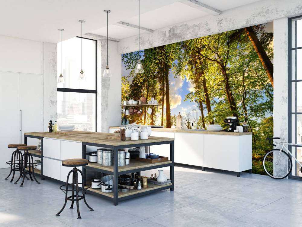 Coucher de soleil à travers les arbres