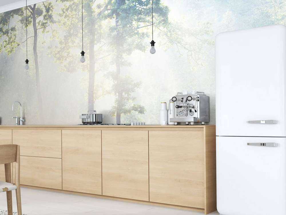 Une forêt mystérieuse