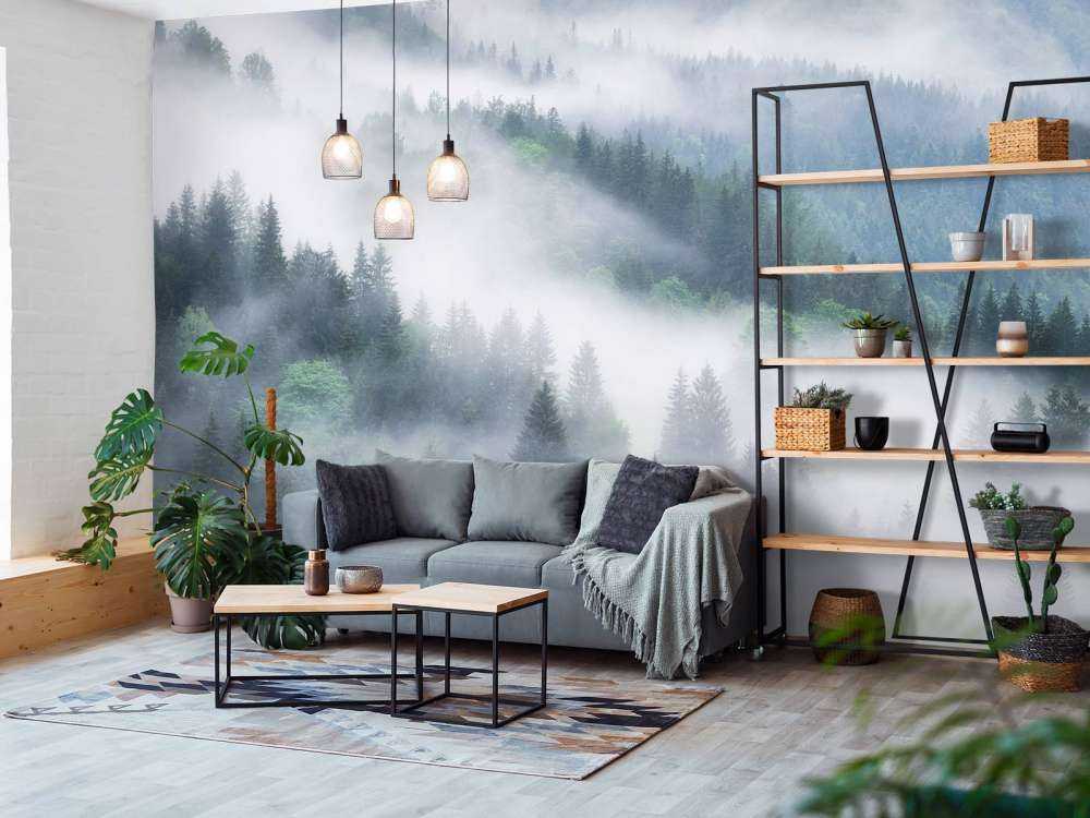 Forêt brumeuse dans les montagnes