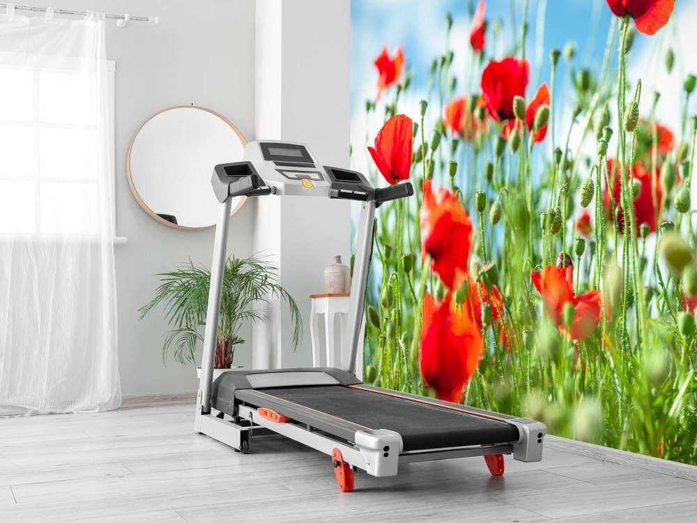 Champ avec des coquelicots