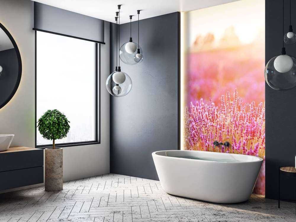 Gros plan sur des fleurs de lavande