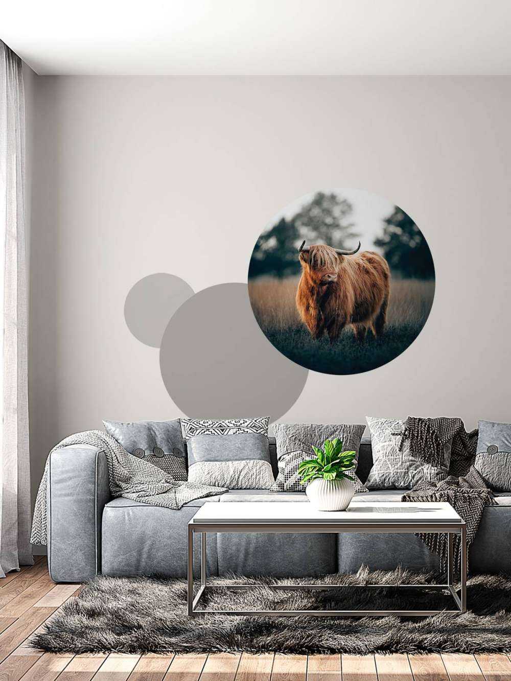 Portrait de Highlands