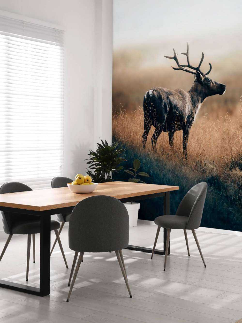 Renne dans les hautes herbes