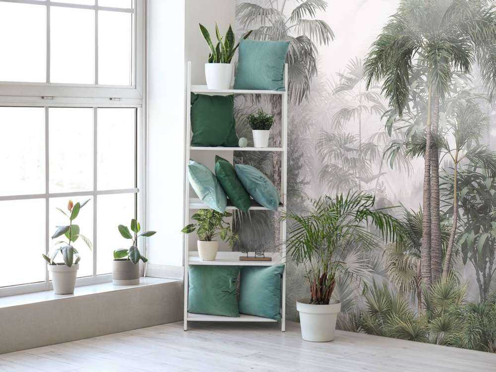 Brume Matinale dans les Tropiques