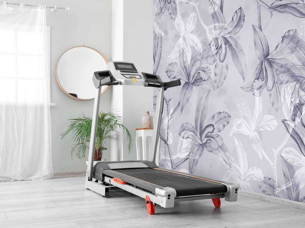 Rêverie d'orchidée violette