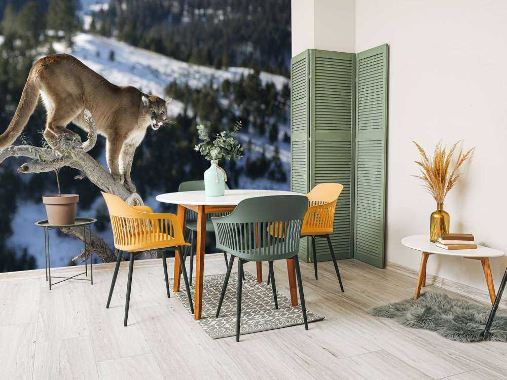 Lion de montagne sur un arbre mort