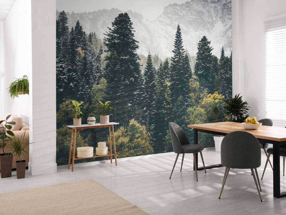 Forêt de conifères