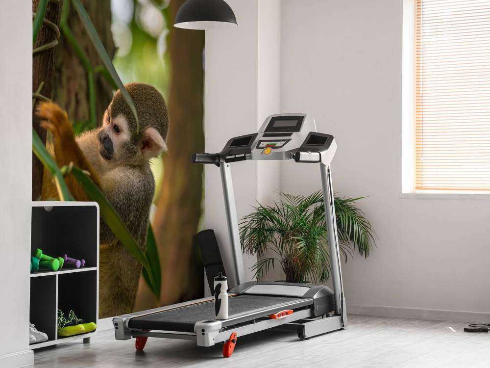 Petit singe dans les arbres