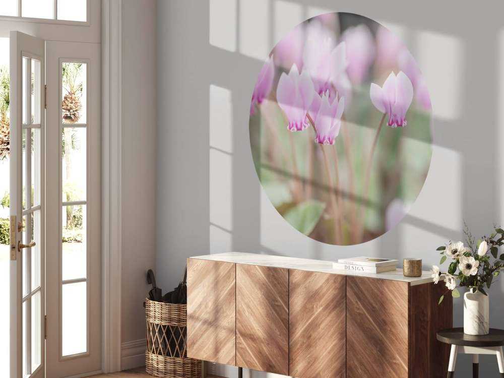 Jolies fleurs de lierre