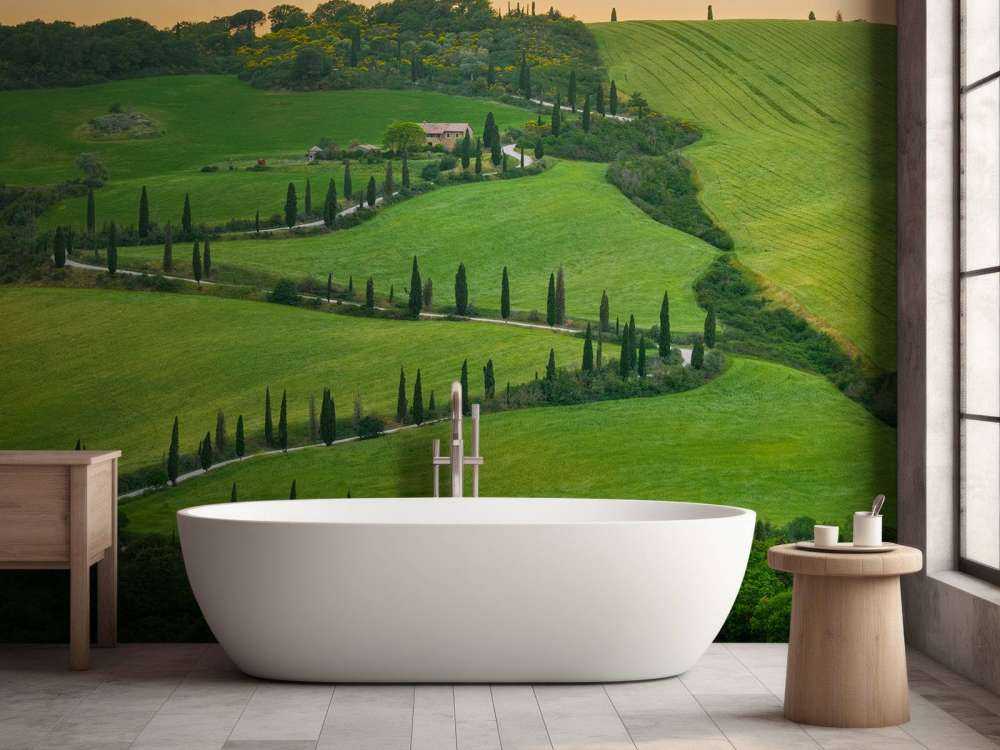 Route sinueuse avec des cyprès