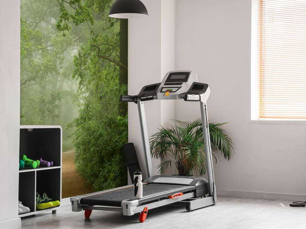 Forêt brumeuse avec chemin