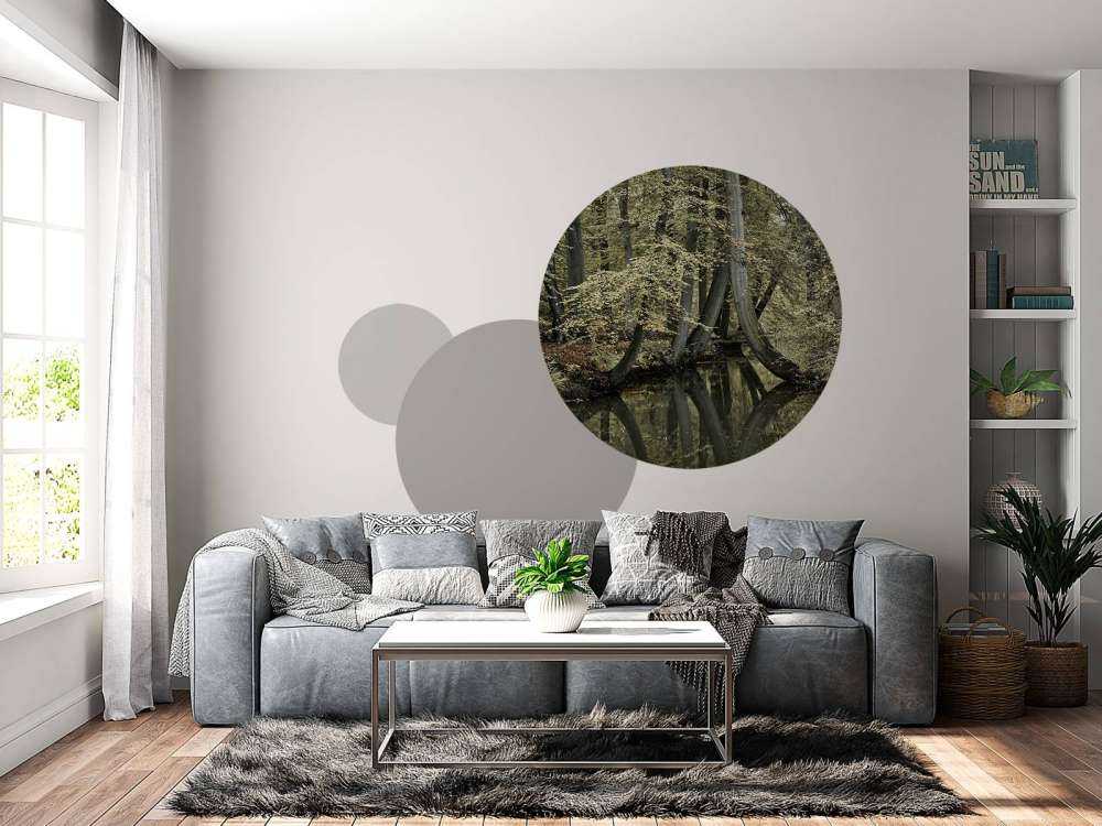 Ruisseau avec des arbres suspendus