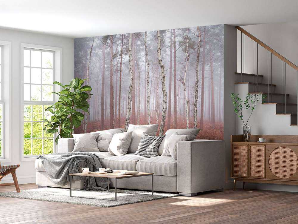 Forêt brumeuse abandonnée