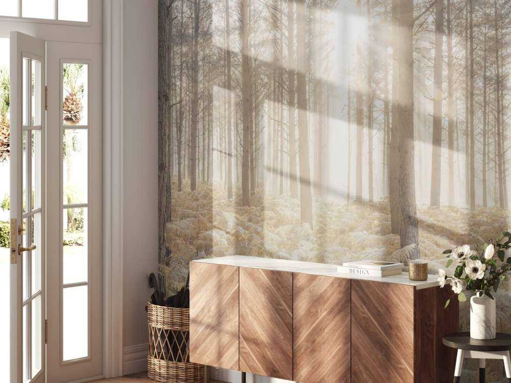 Rayons de soleil dans une forêt froide