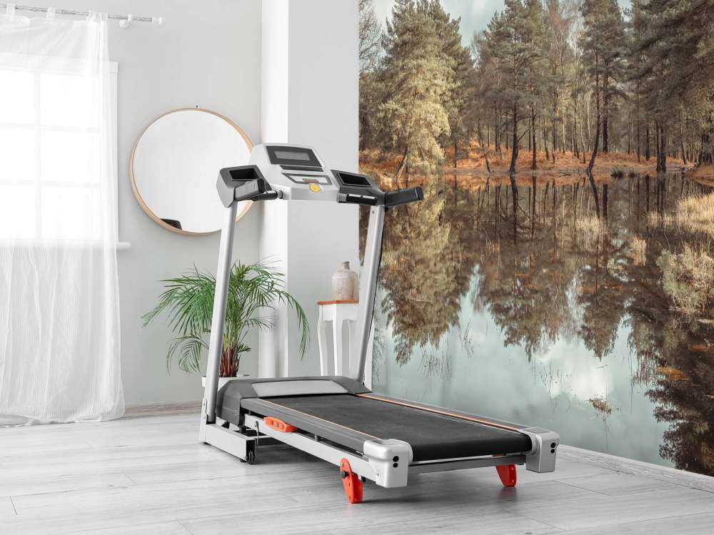 Arbres près d'un lac