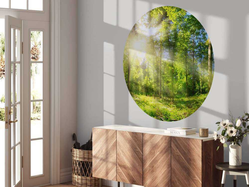 Une forêt avec des rayons de soleil