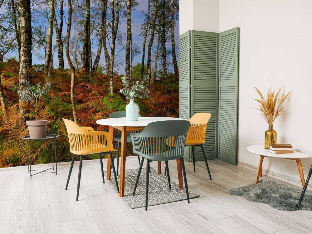 Bouleaux avec fougères colorées