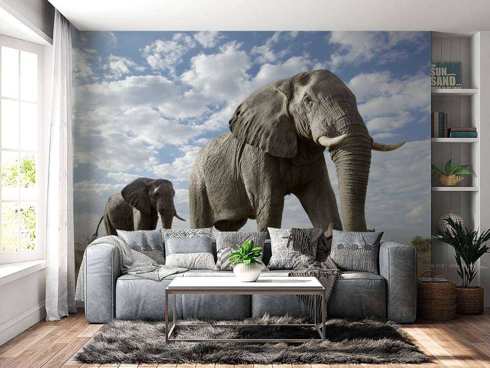 Le passage des éléphants