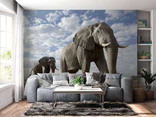 Le passage des éléphants
