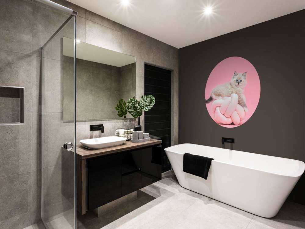 Chat blanc sur fond rose