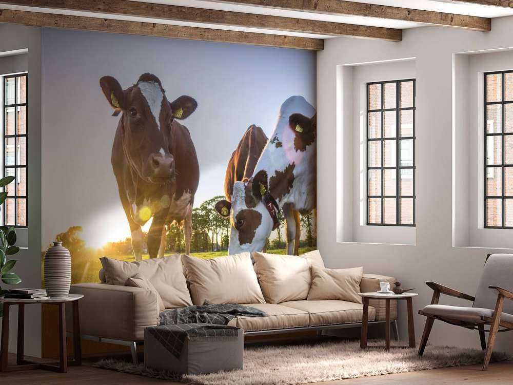 Fond d'écran des vaches