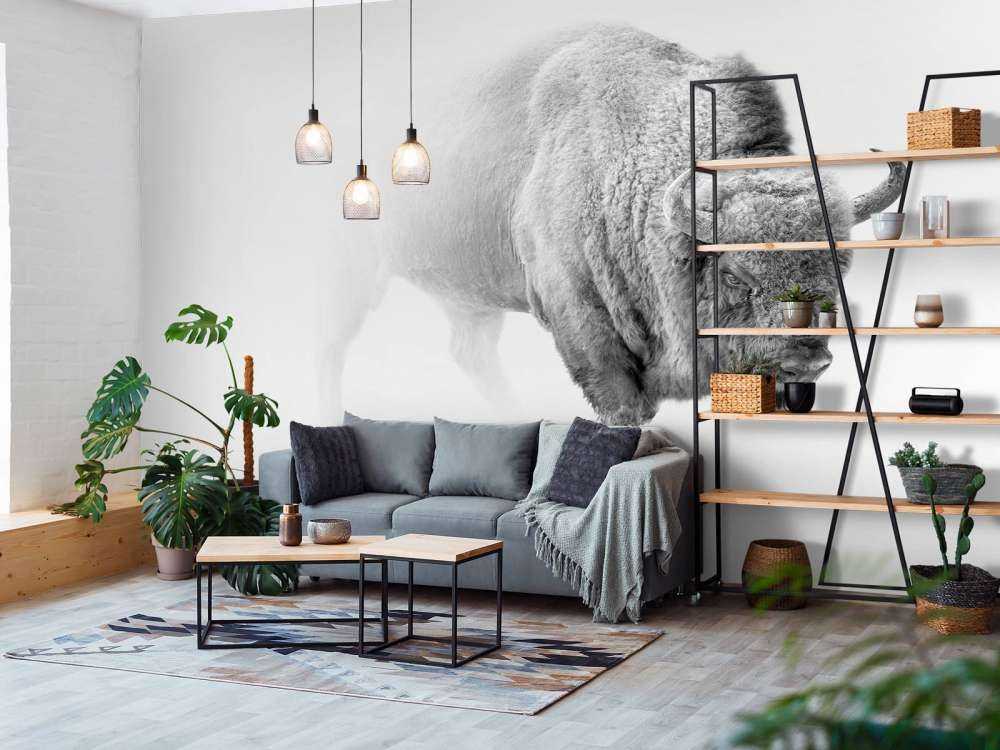Bison noir et blanc