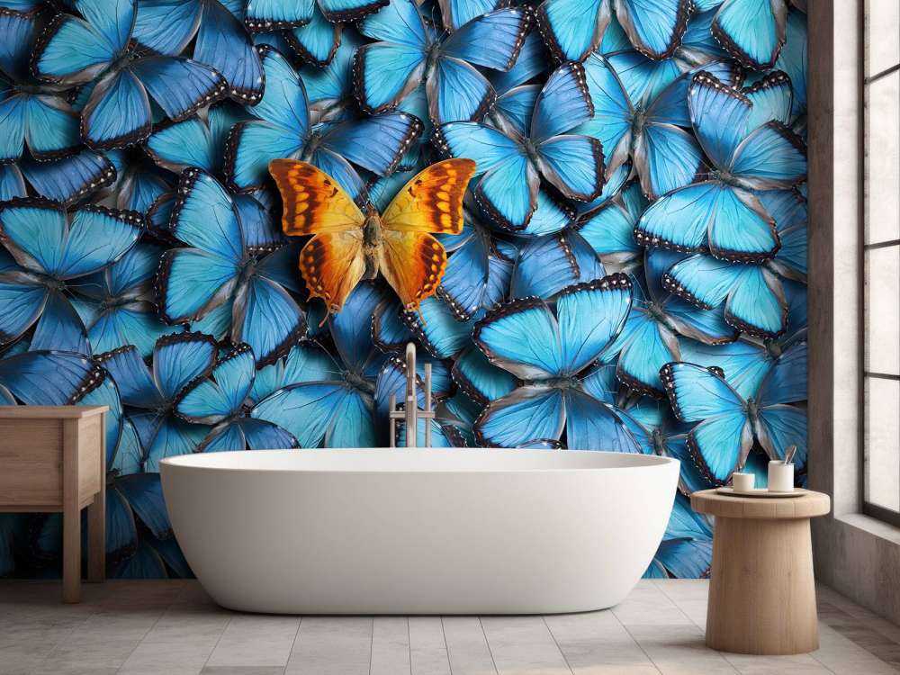 Composition du papillon