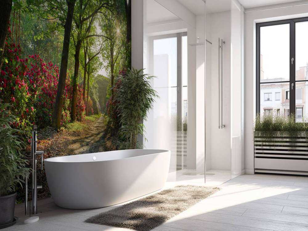 Lever de soleil sur le chemin avec des rhododendrons