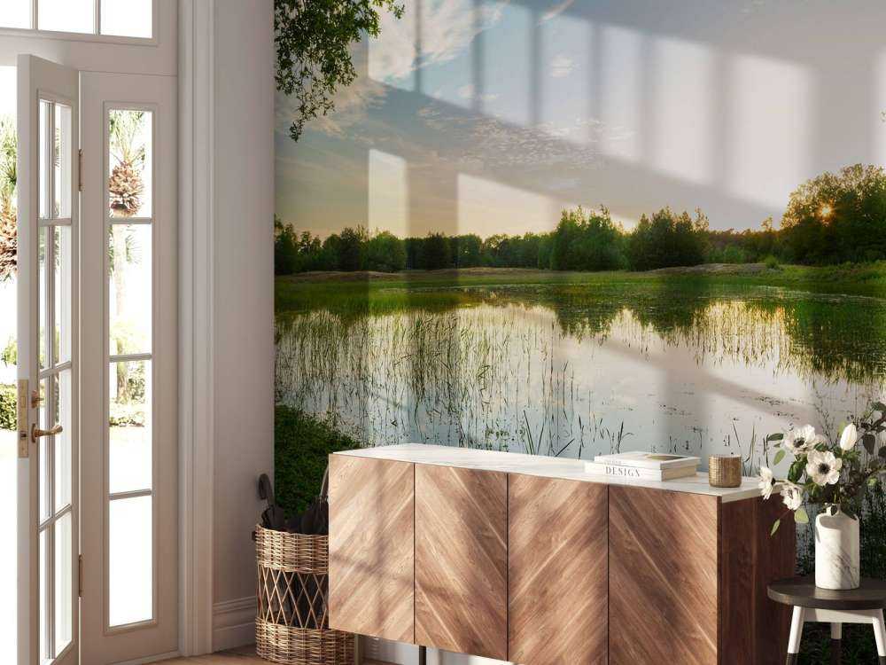 Coucher de soleil à forêt