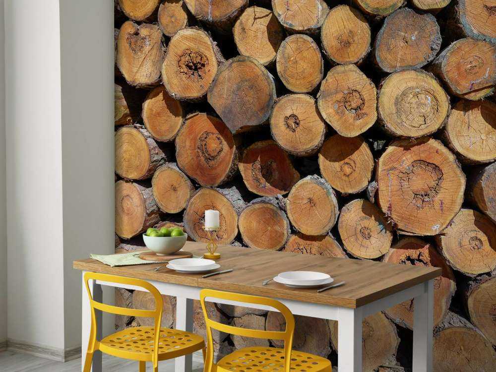 Pile de troncs d'arbres