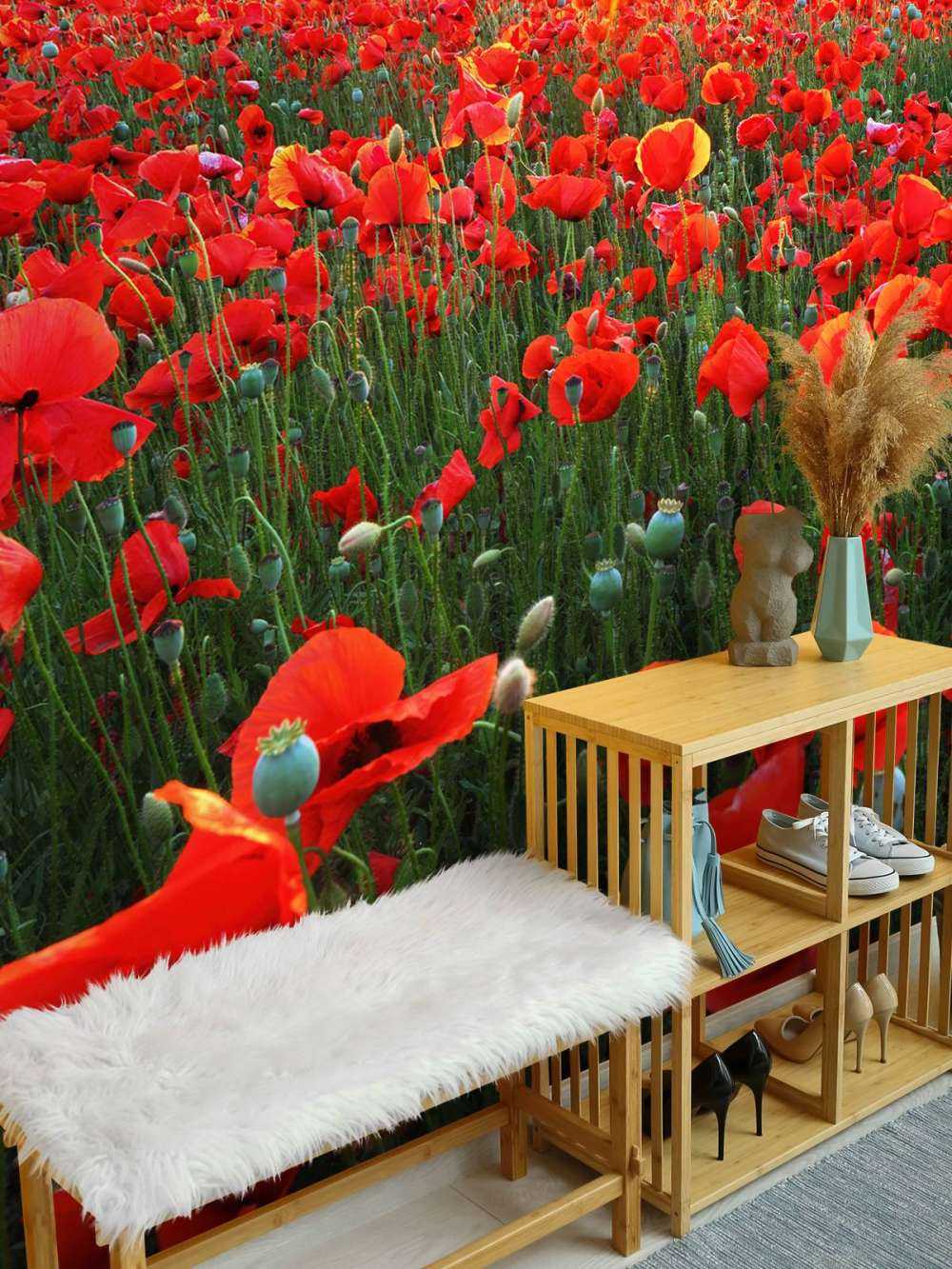 Les coquelicots au coucher du soleil