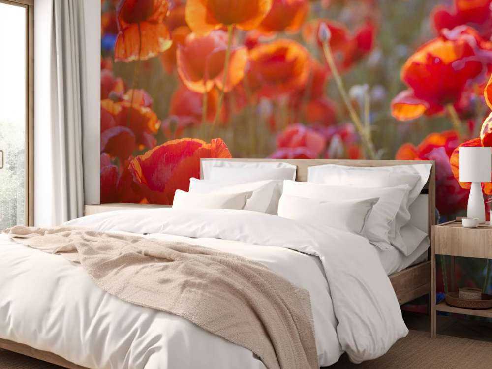 Coquelicots et bleuets