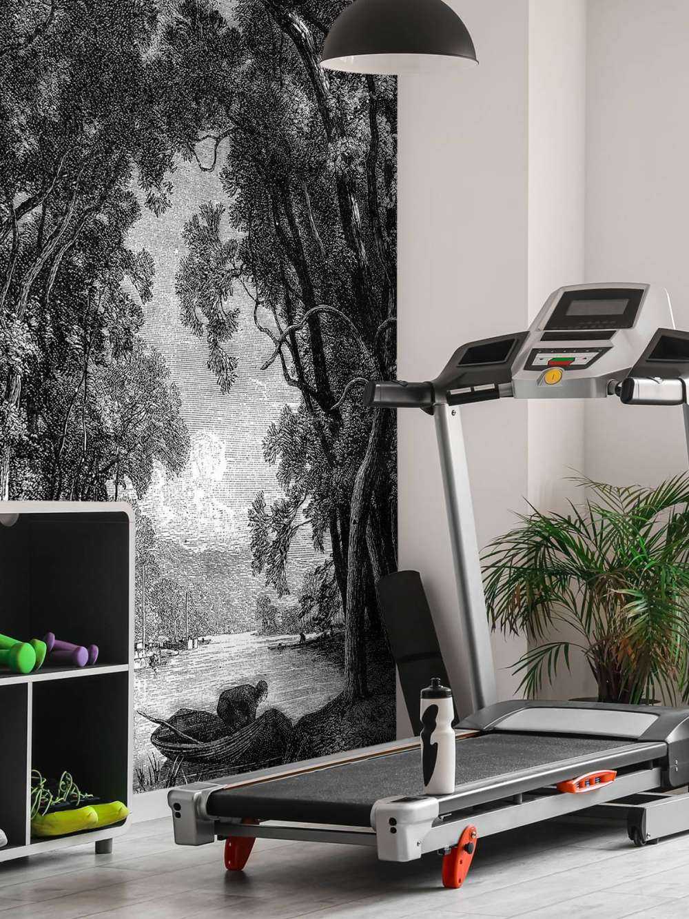 Une vieille rivière dans la jungle