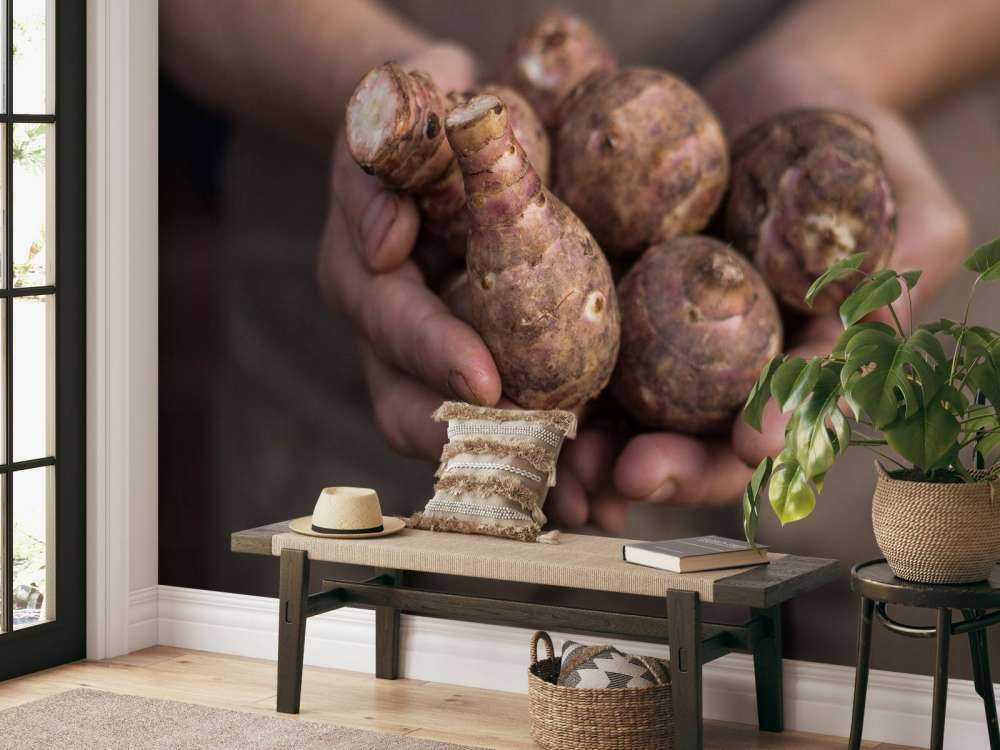 Produits de la terre