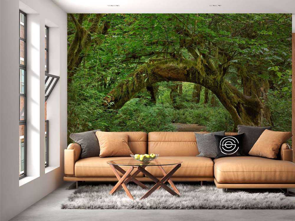 Arbre dans une arche