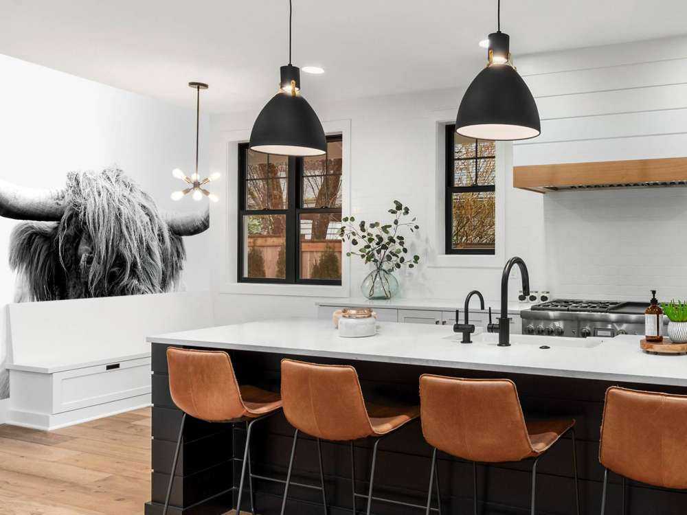 Drôle de Highland écossais