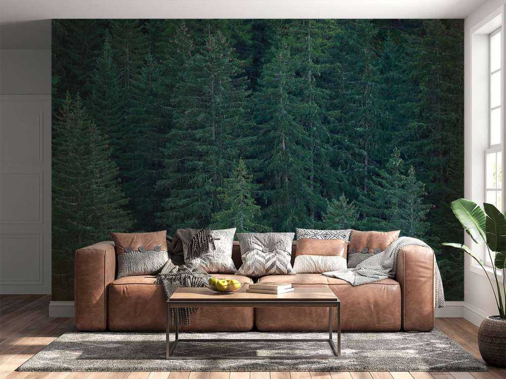 Conifères avec pommes de pin