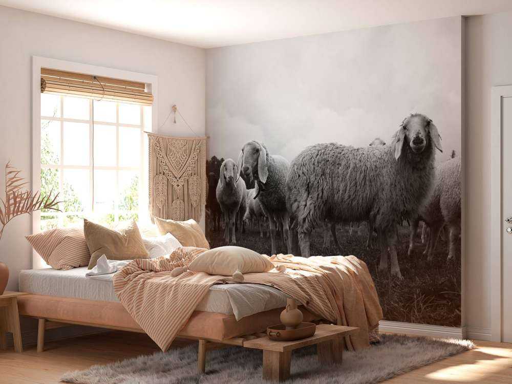 Troupeau de moutons en noir et blanc