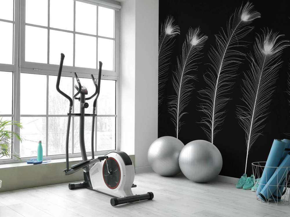 Plumes de paon blanches