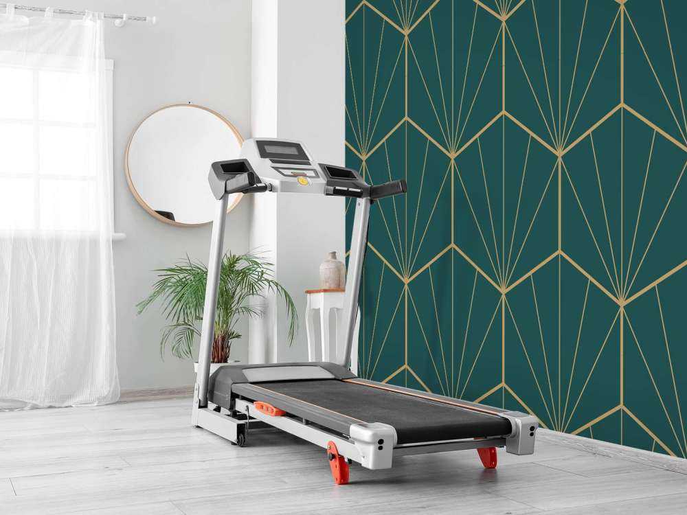 Coquille géométrique