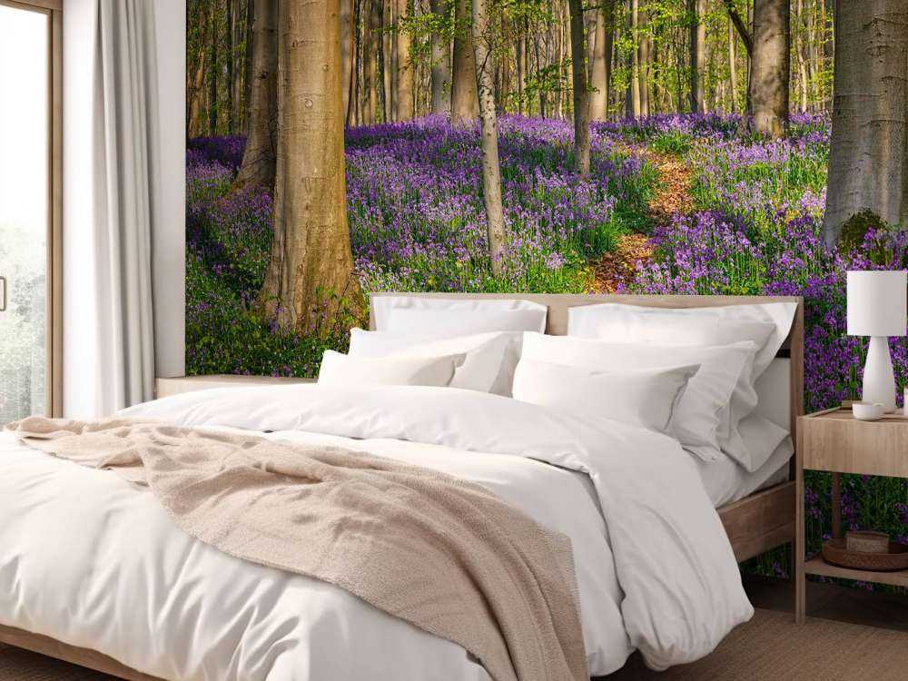 Chemin à travers une forêt avec des jacinthes