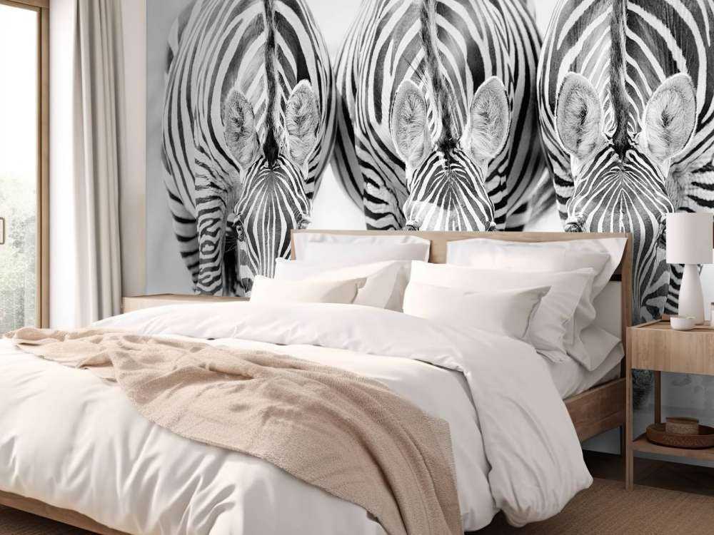 Three zebras
